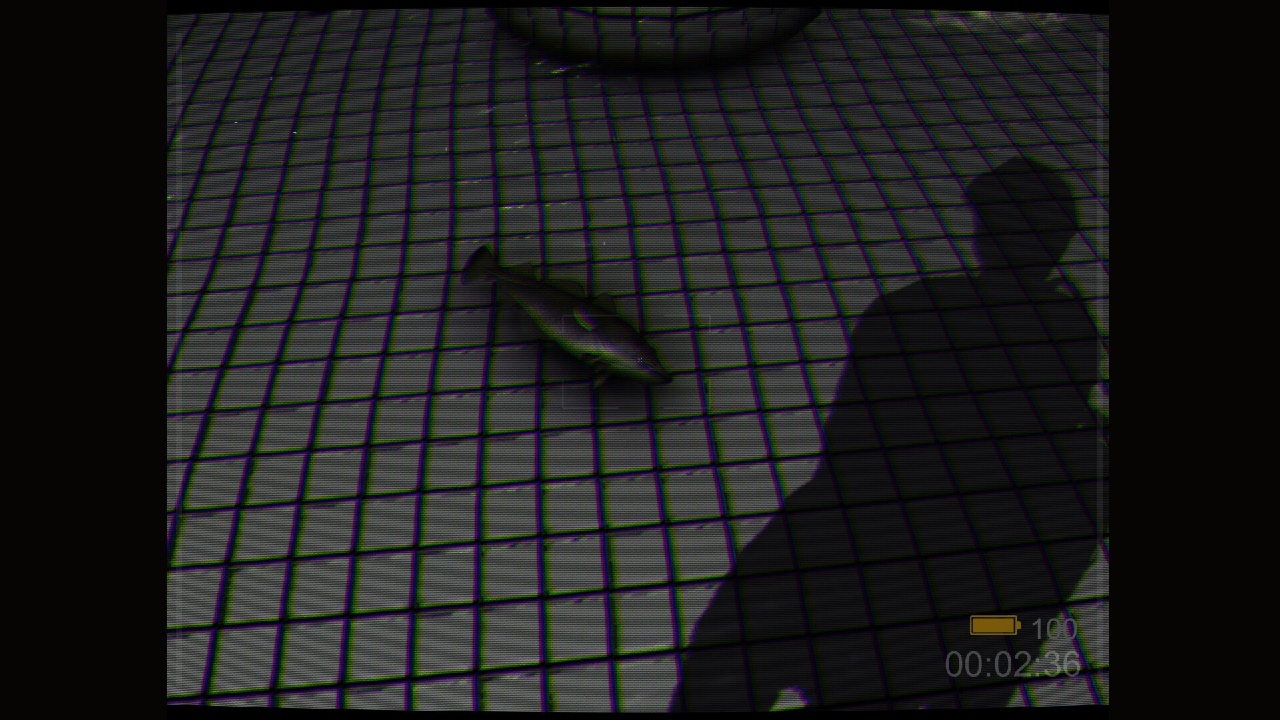 Backrooms: Poolrooms screenshot 2