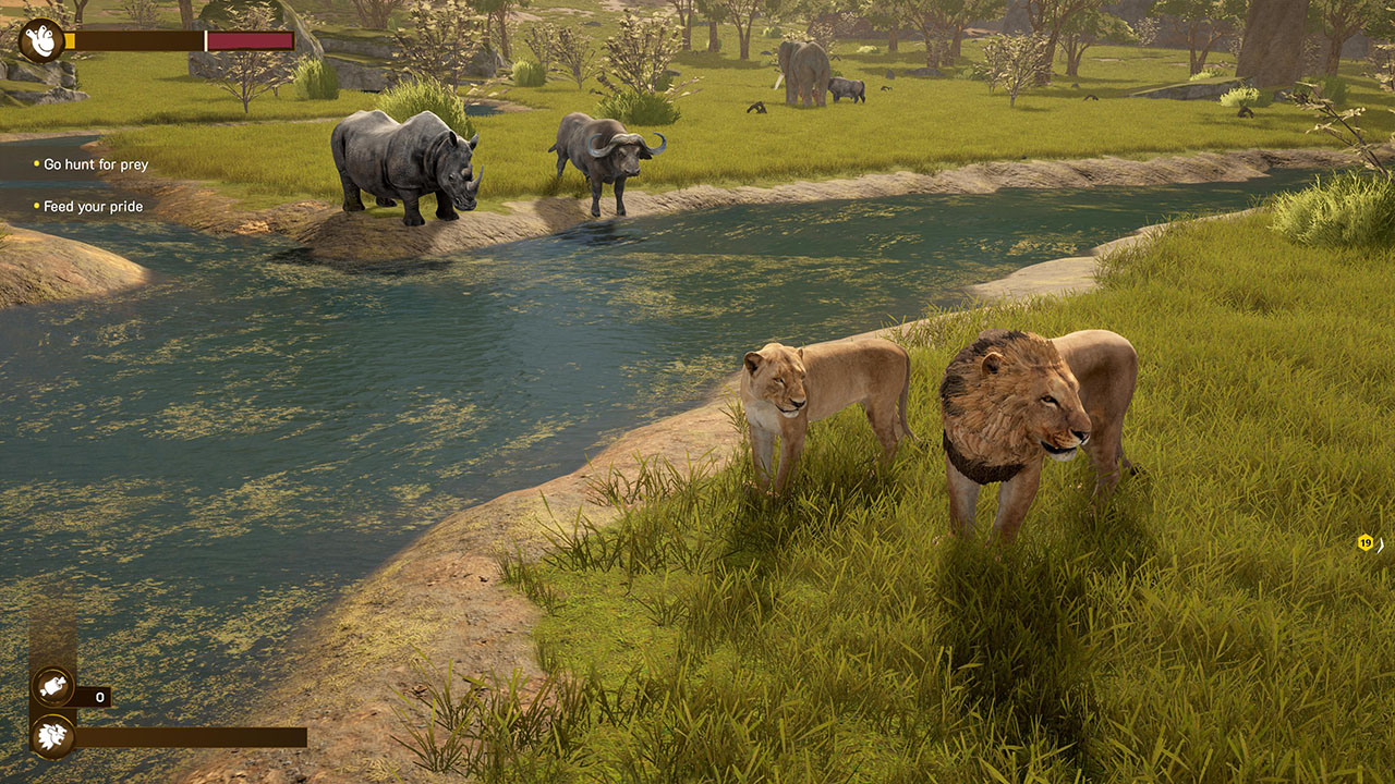 Lion Simulator RPG: Animal Battle Survival screenshot 5