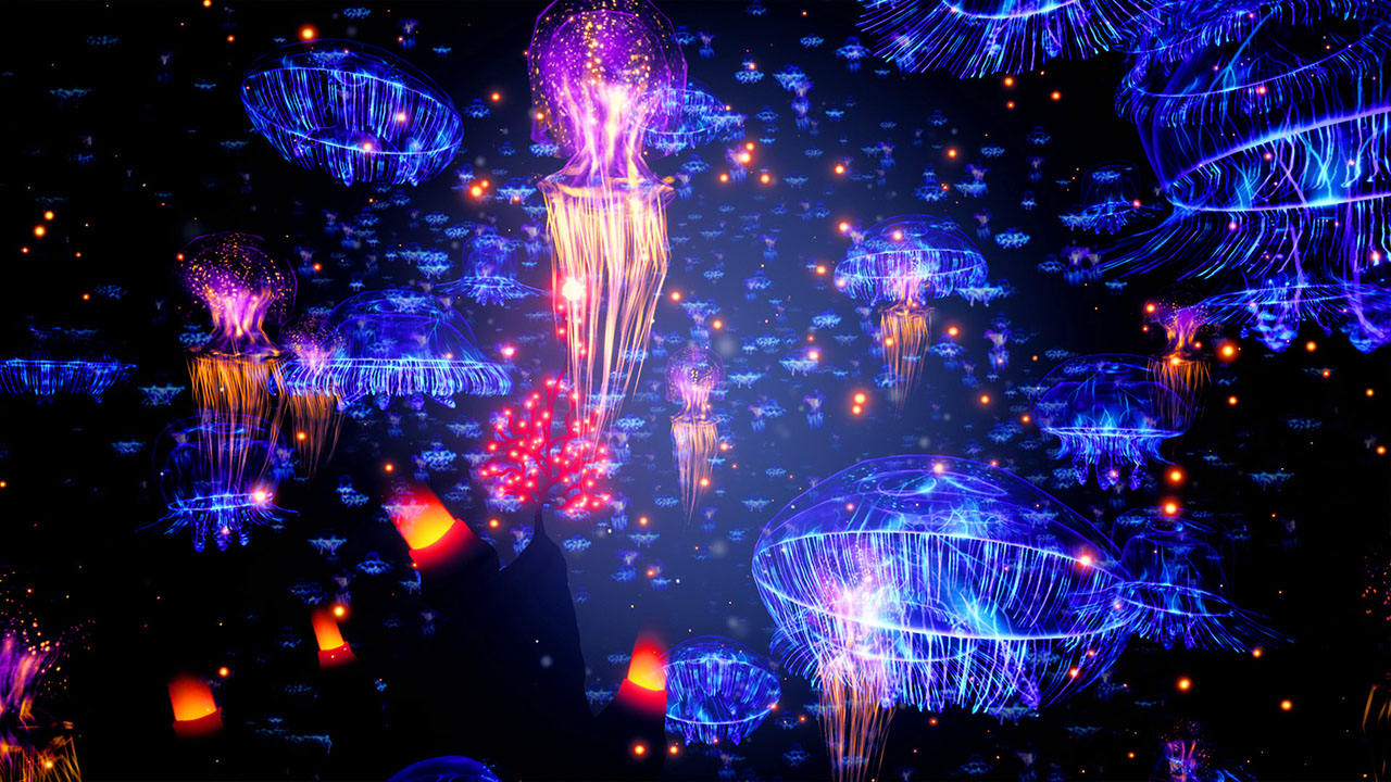 KORAL screenshot 3