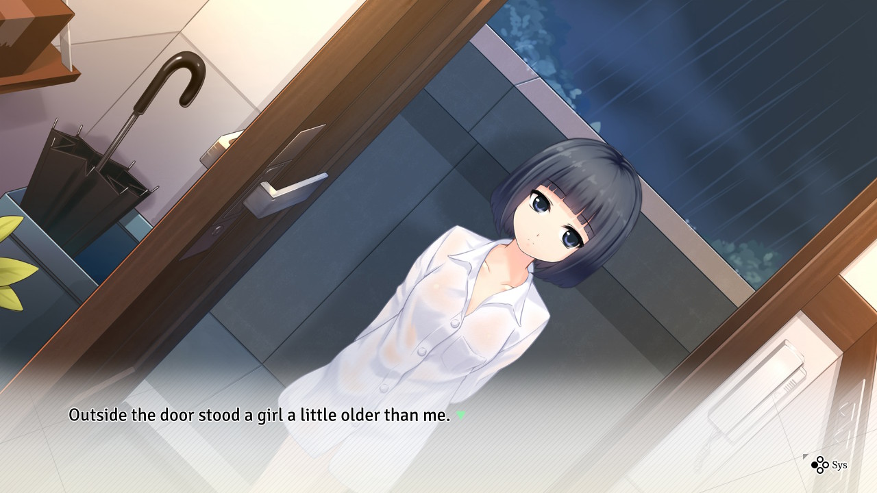 Reverse Memories screenshot 3