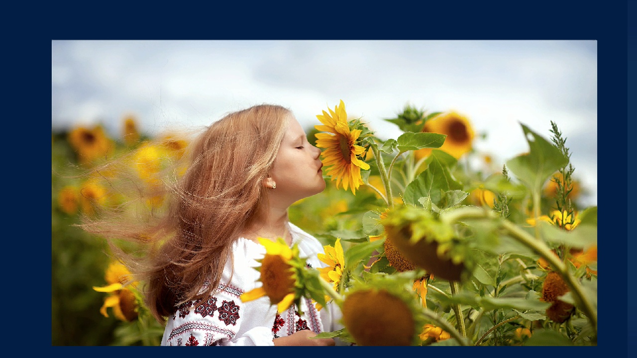 Beautiful Ukraine screenshot 4