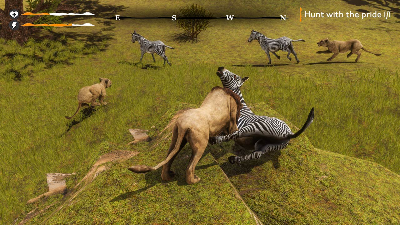 Lion Simulator Survival: RPG Animal Battle screenshot 4