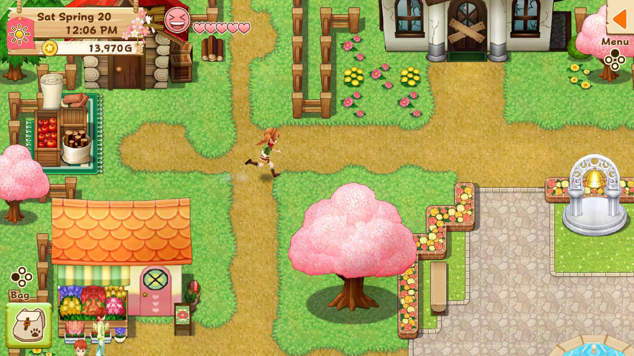 Harvest Moon®: Light of Hope Special Edition screenshot 5