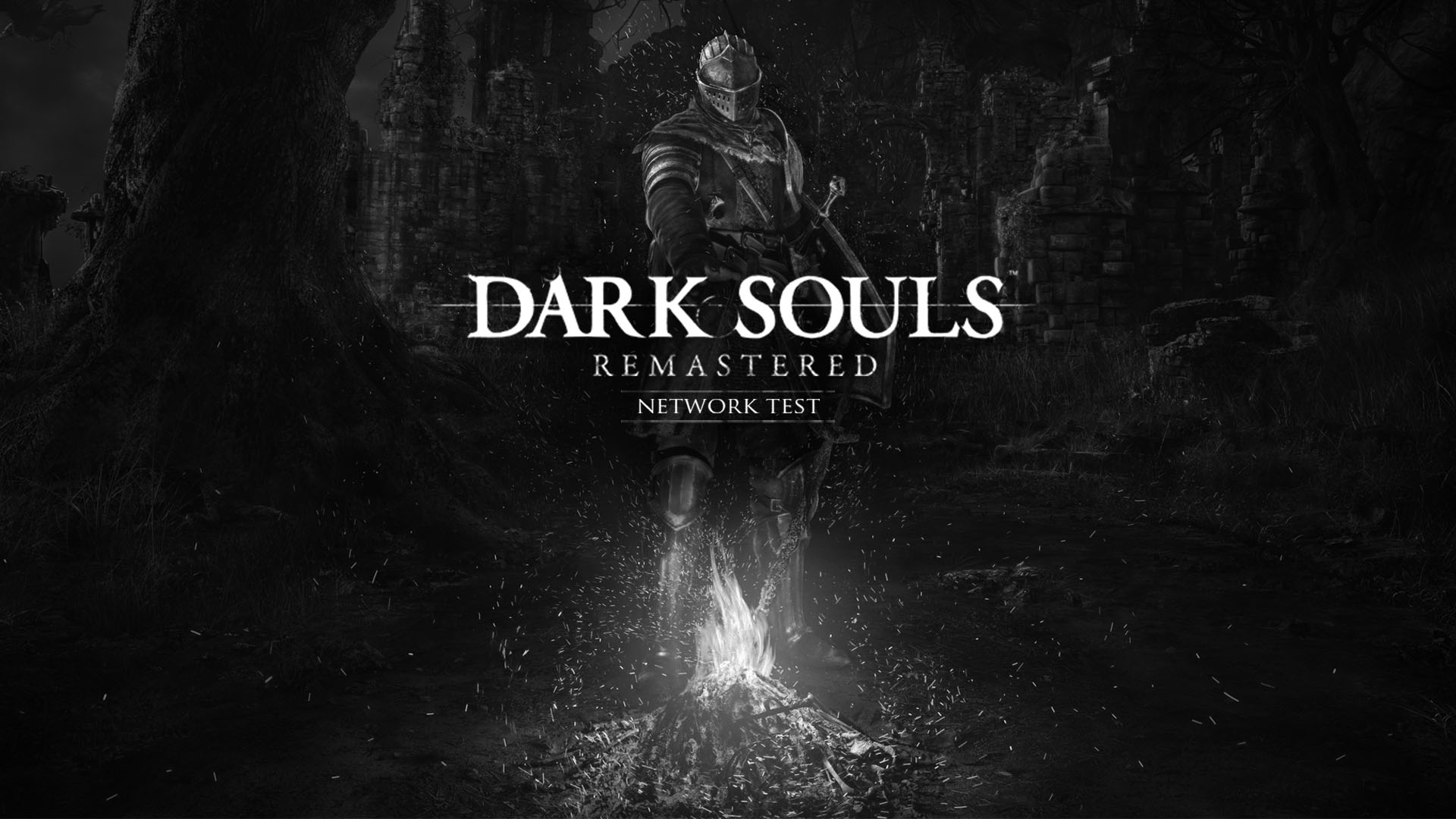 DARK SOULS™: REMASTERED NETWORK TEST VER