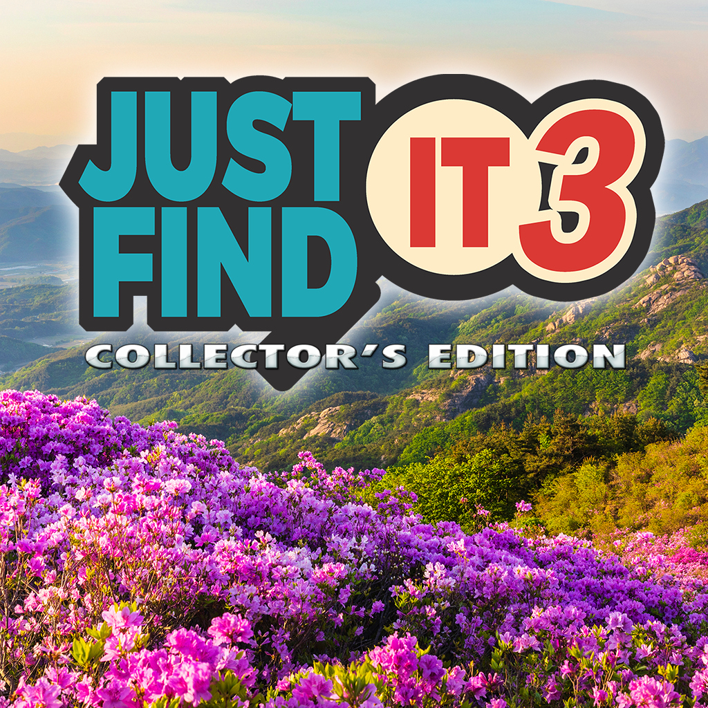 Just Find It 3 Collector's Edition