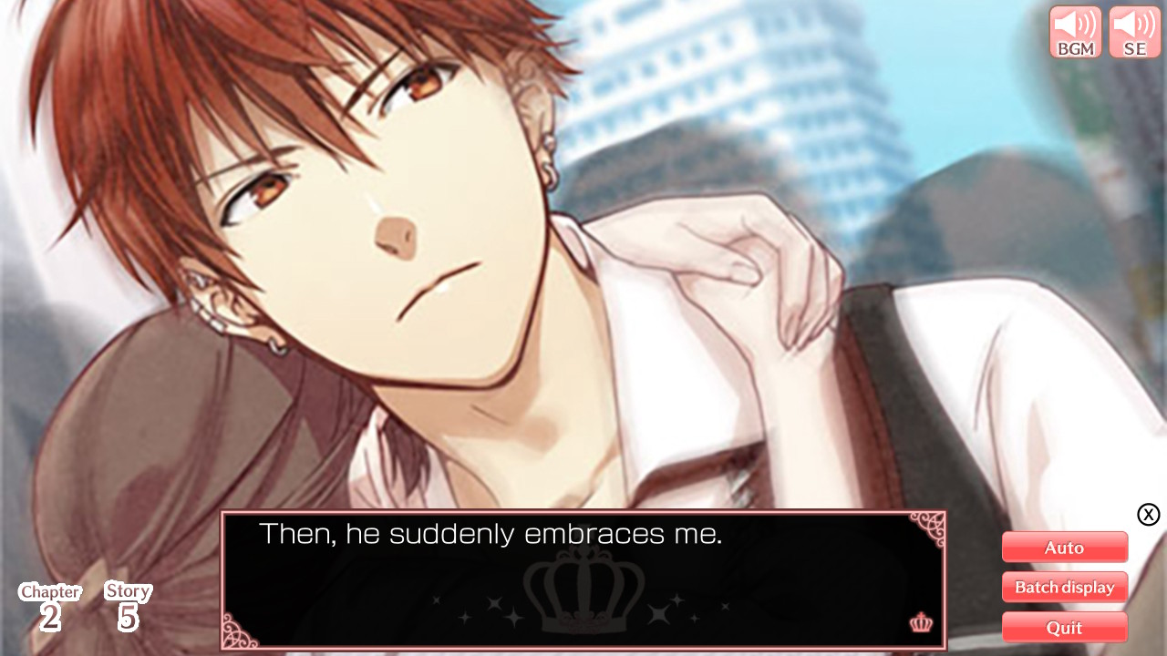 Princess Closet screenshot 6
