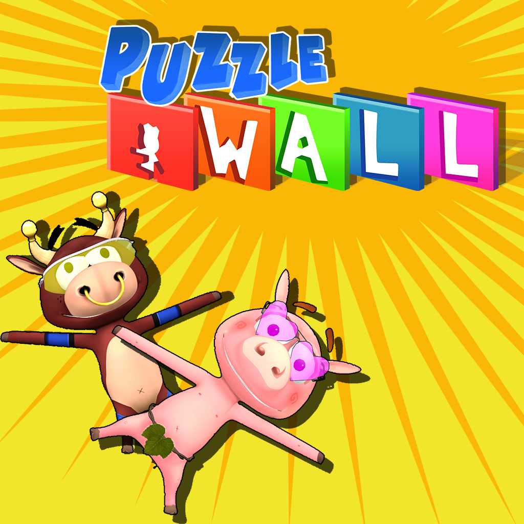 Puzzle Wall