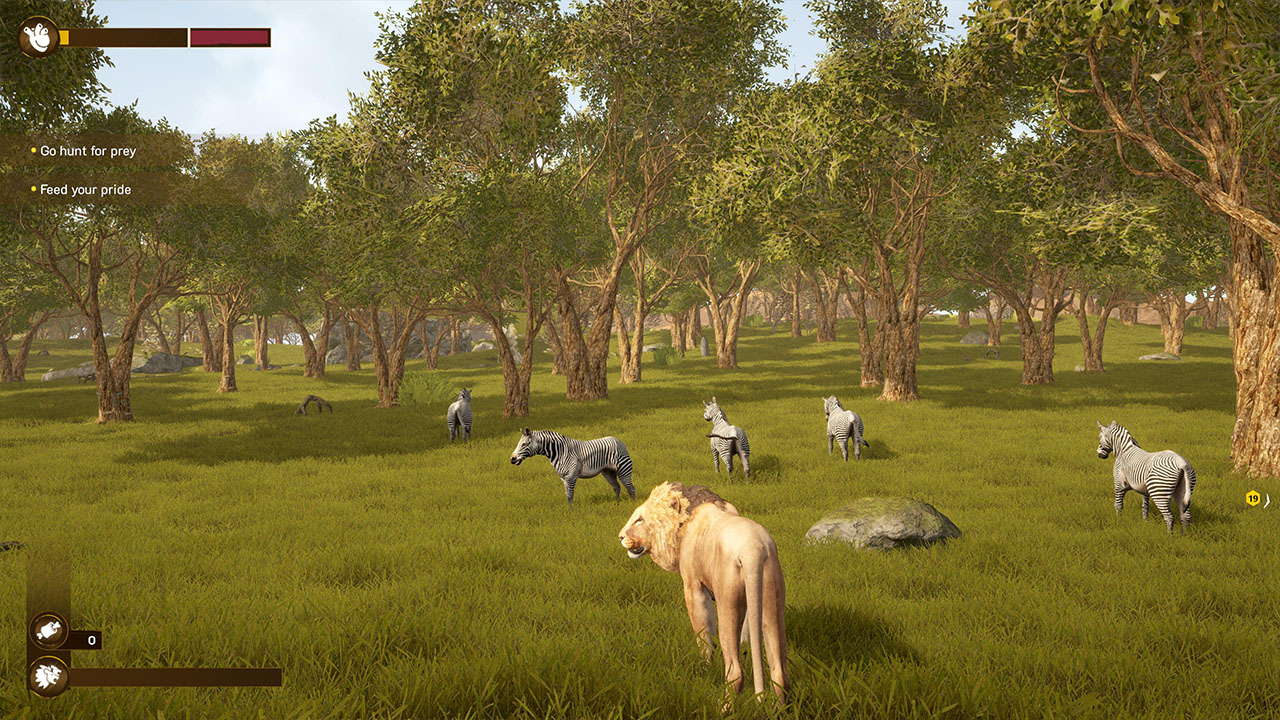 Lion Simulator RPG: Animal Battle Survival screenshot 2