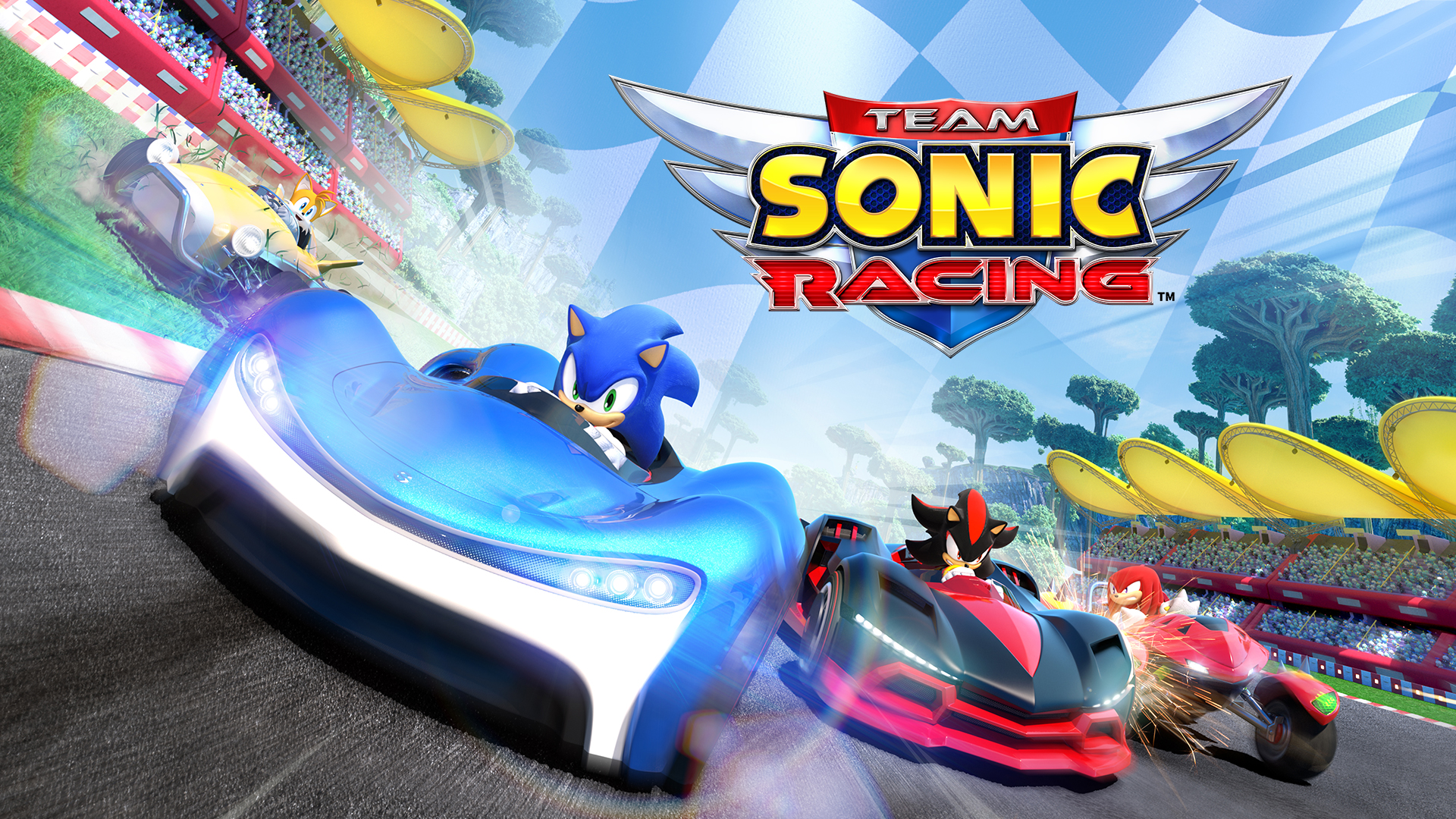 Team Sonic Racing™