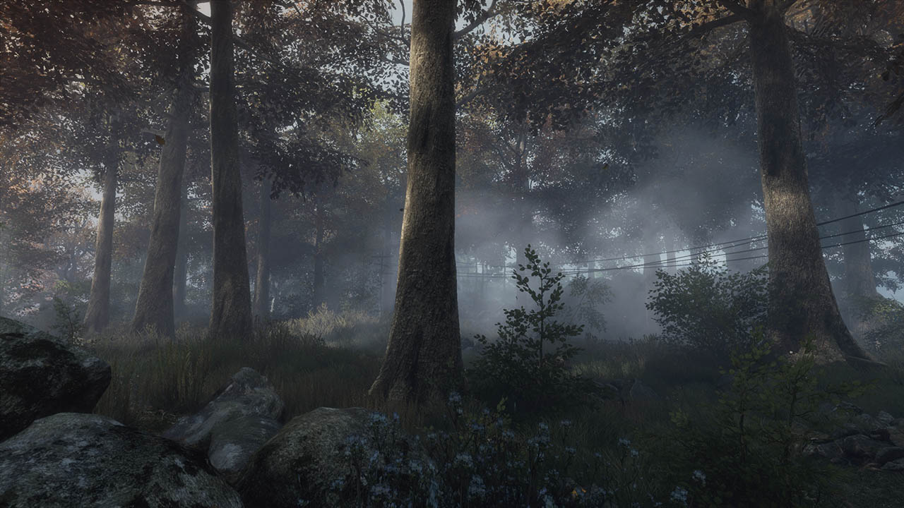 The Vanishing of Ethan Carter screenshot 3