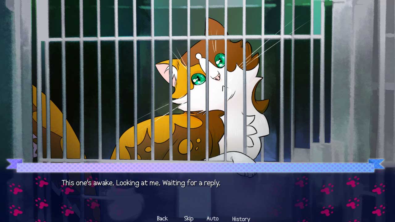 Animal Lover screenshot 6
