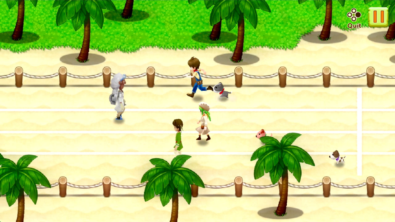 Harvest Moon®: Light of Hope Special Edition screenshot 6