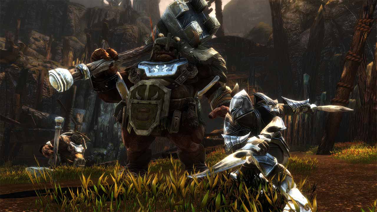 Kingdoms of Amalur: Re-Reckoning(キングダムズ オブ アマラー:リレコニング) screenshot 3