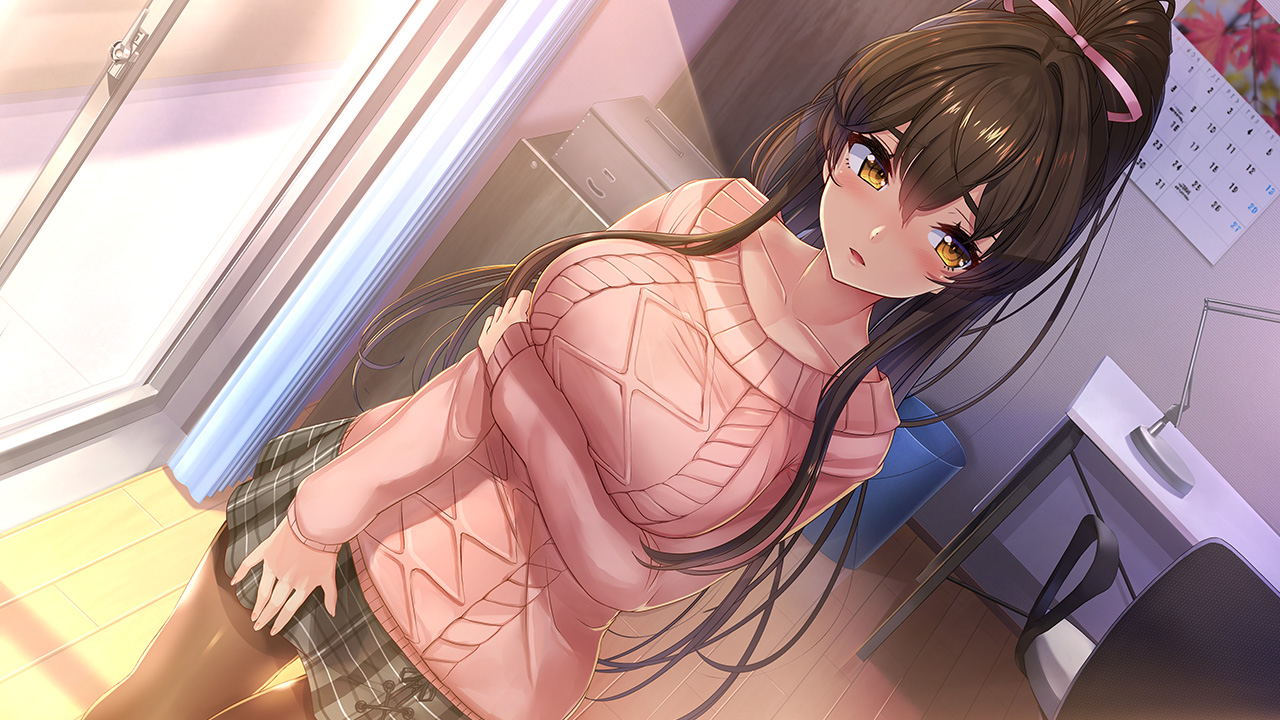 NinNinDays screenshot 1