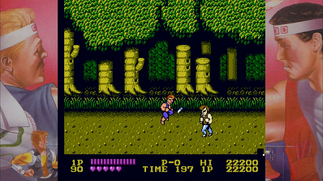 DOUBLE DRAGON screenshot 1