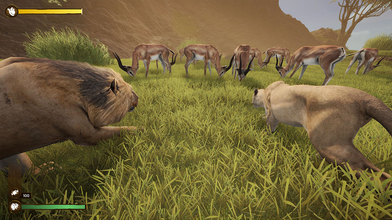 Lion Simulator RPG: Animal Battle Survival screenshot 6